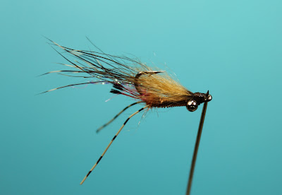 Fly Tying Nation: Cooper Shrimp XS