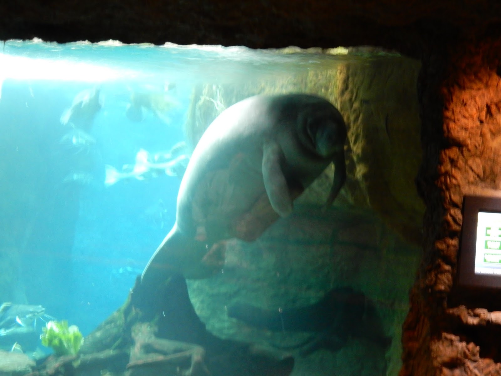 Raptormaniacs Dallas World Aquarium