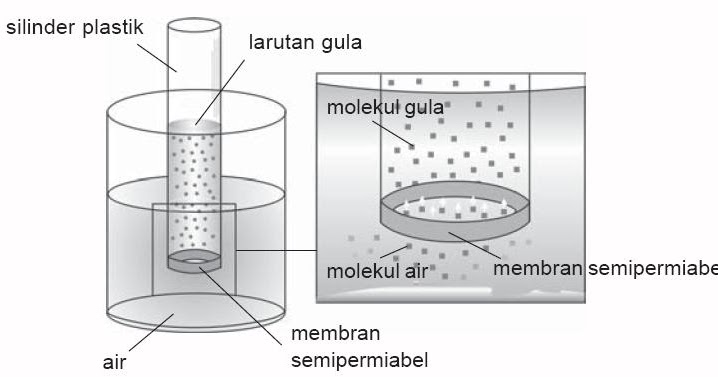 Contoh Jurnal Ilmiah Sejarah URasmi Contoh Jurnal Ilmiah Sejarah URasmi