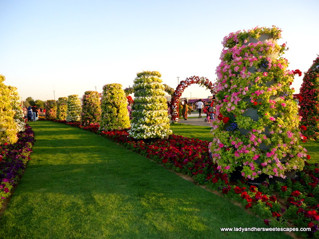 flowers at Dubai Miracle Garden