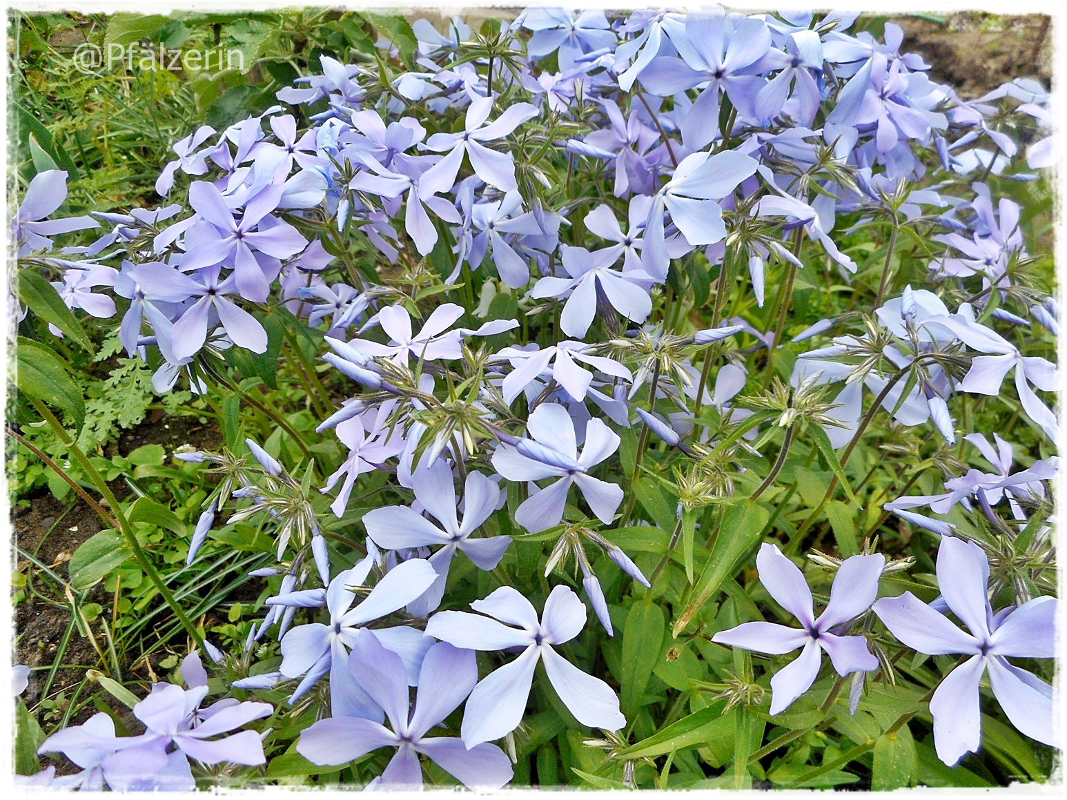 Php Archive Freakcommander