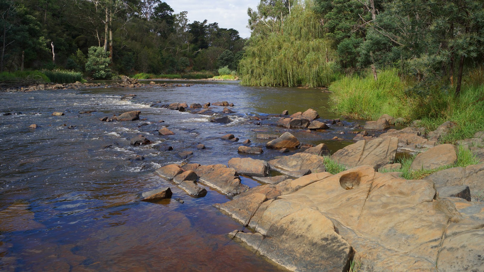MAP YARRA RIVER AT WARRANDYTE