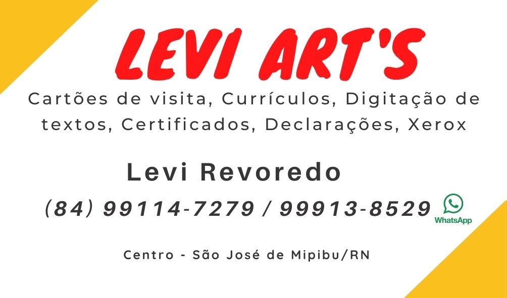 LEVI ART'S