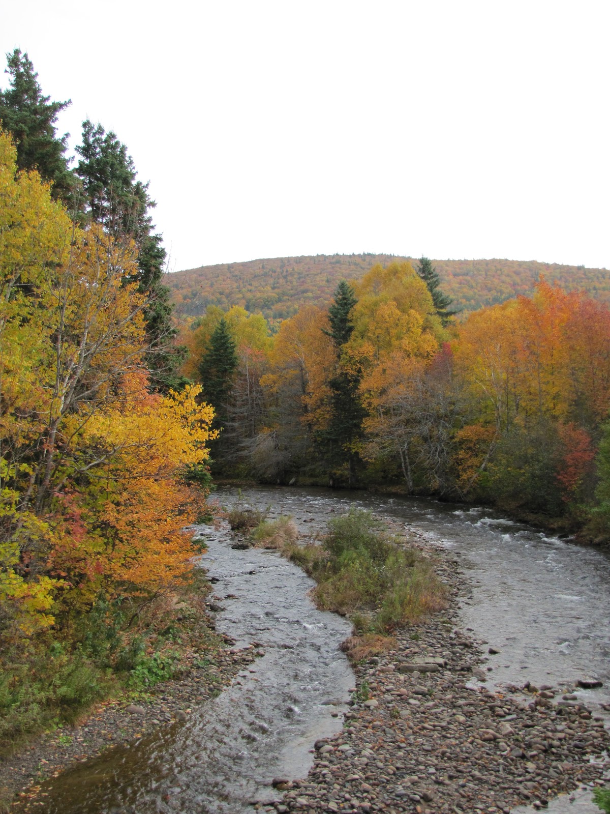 The Margaree Trail December 2012