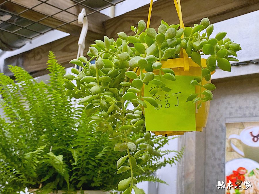 柚莉YURI Store Zakka鶯歌多肉植物店滿滿童趣文青風的秘巷雜貨店