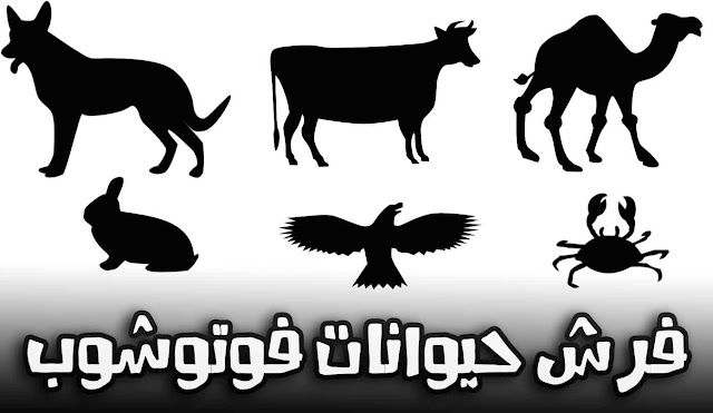 تحميل فرش حيوانات للفوتوشوب تحميل فرش حيوانات للفوتوشوب