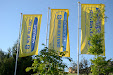 Campus New Holland. 10º aniversario