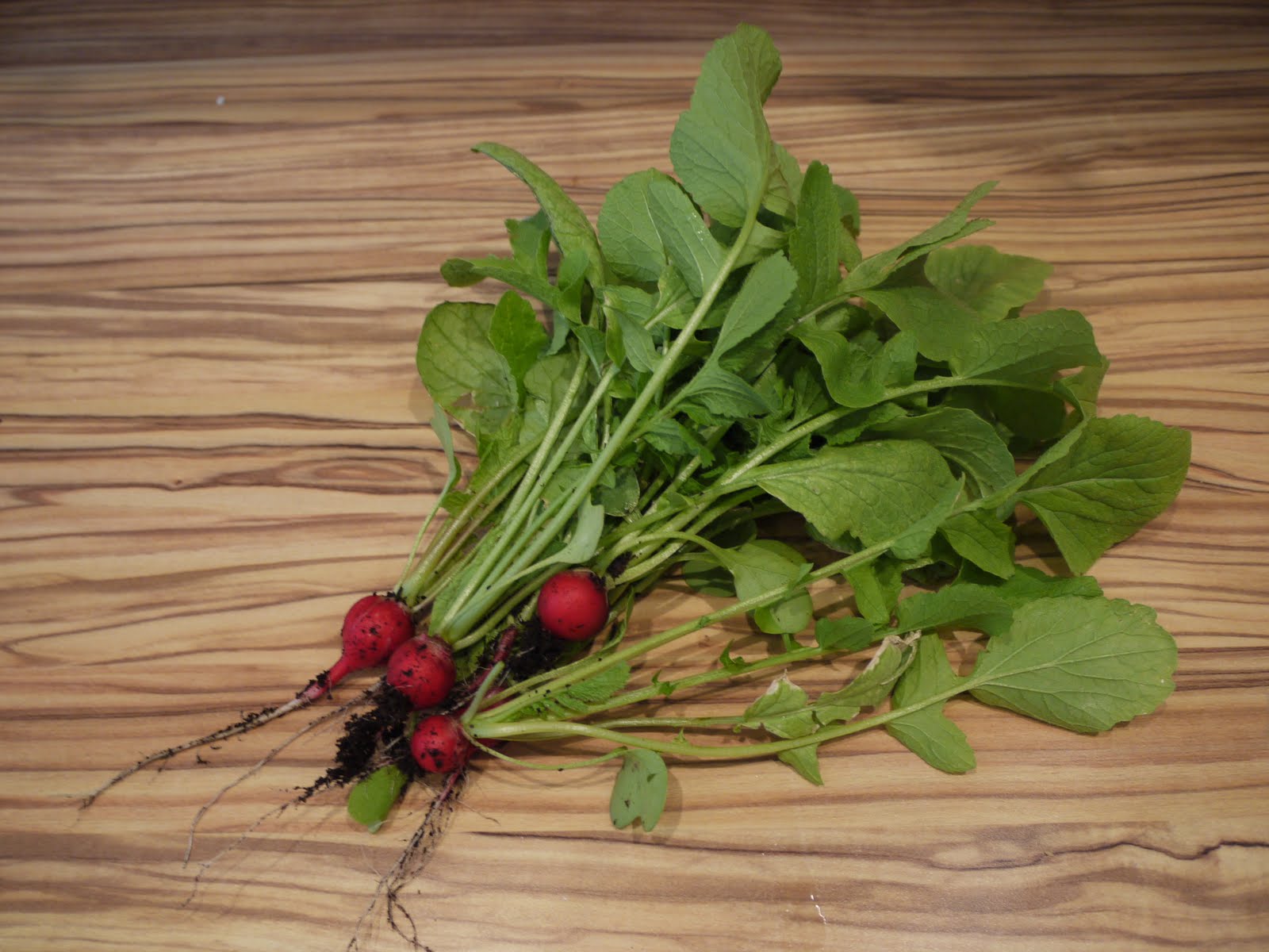 For The Love of Food A Glut of Radishes? Try Radish Top Soup with