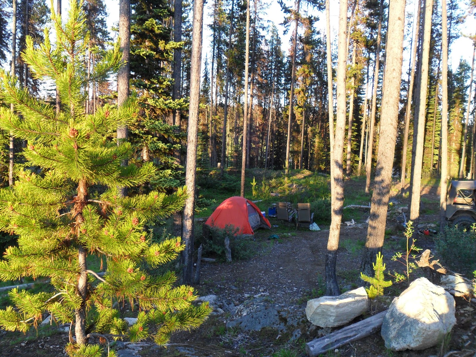fawn-in-bc-camping-at-hydraulic-lake