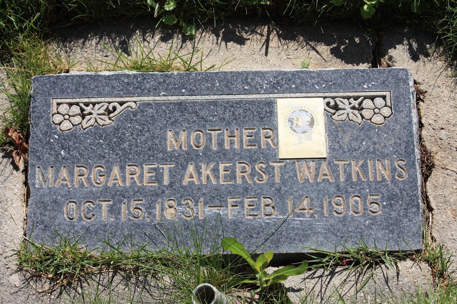 The Dismal Land & Livestock Report Midway Cemetery