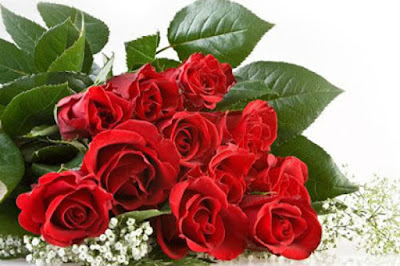 Ý nghĩa của hoa hồng trong ngày lễ Valentine