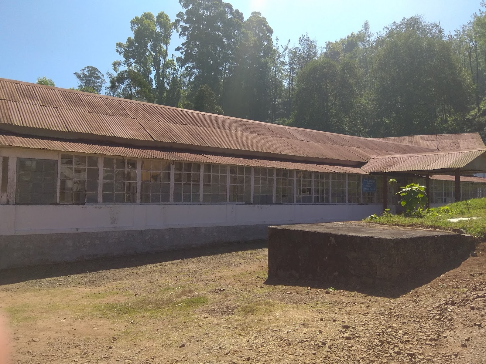 Vibrant India A surprise visit to an ancient jail in the tea gardens