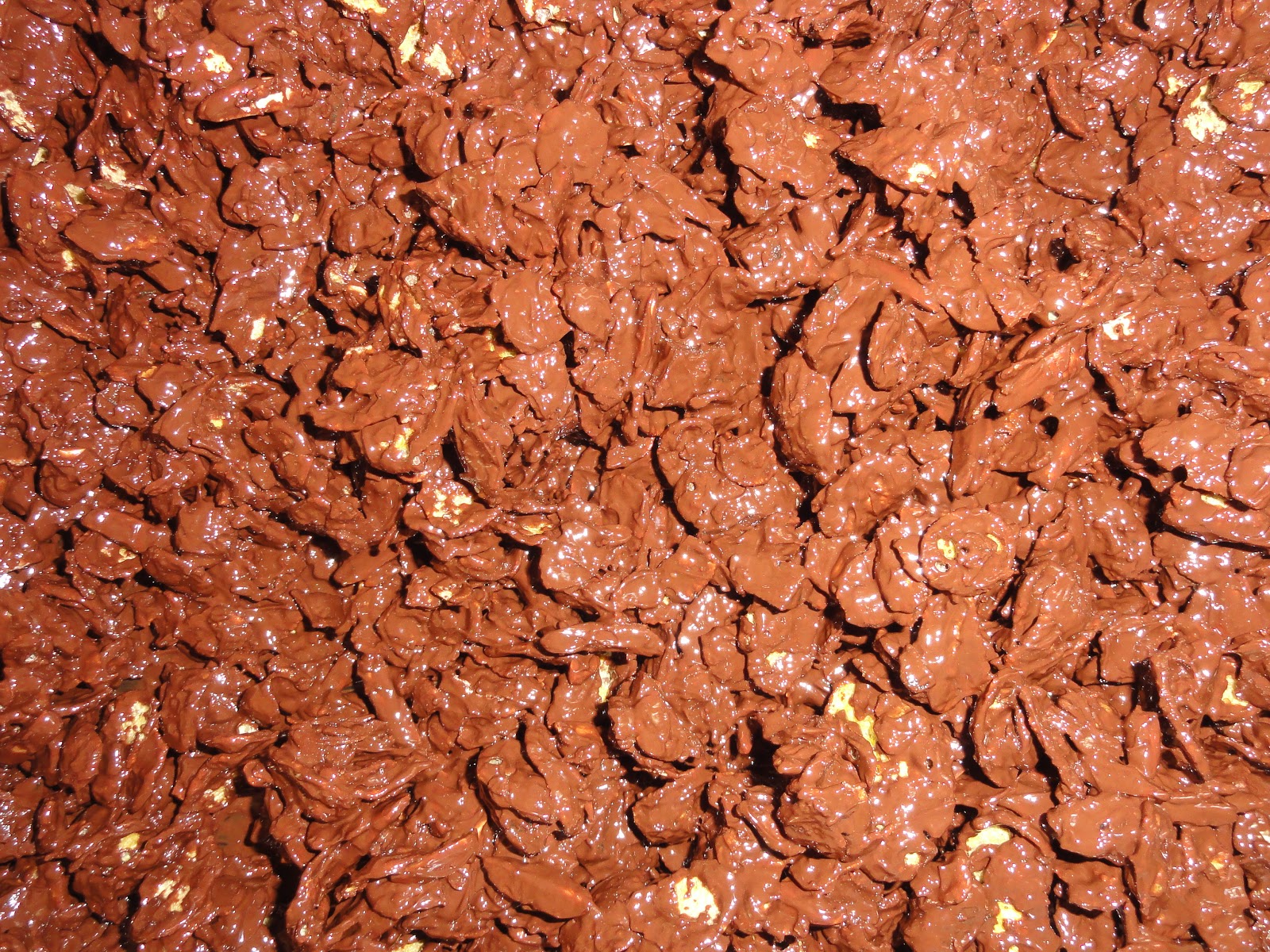 echte hausfrau: schokoladen crossies / choco crossies recipe