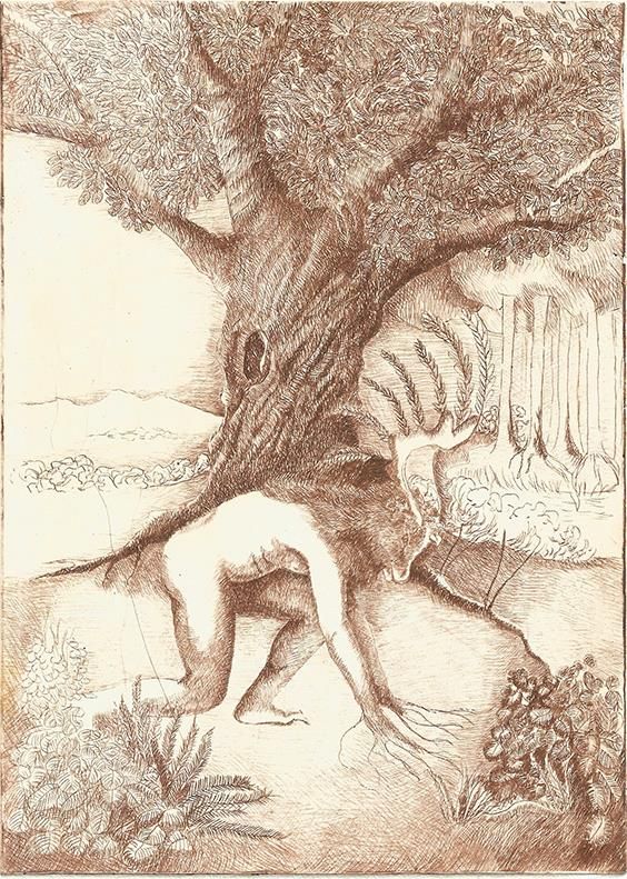 ebook Economic and Monetary Union in Europe: