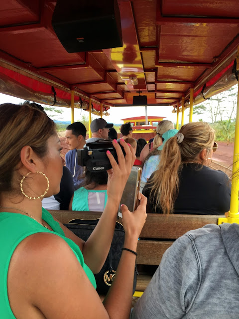 Pineapple Express train