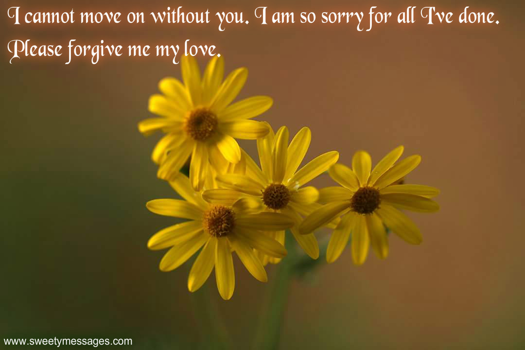 I Am Sorry Quotes For Girlfriend Beautiful Messages
