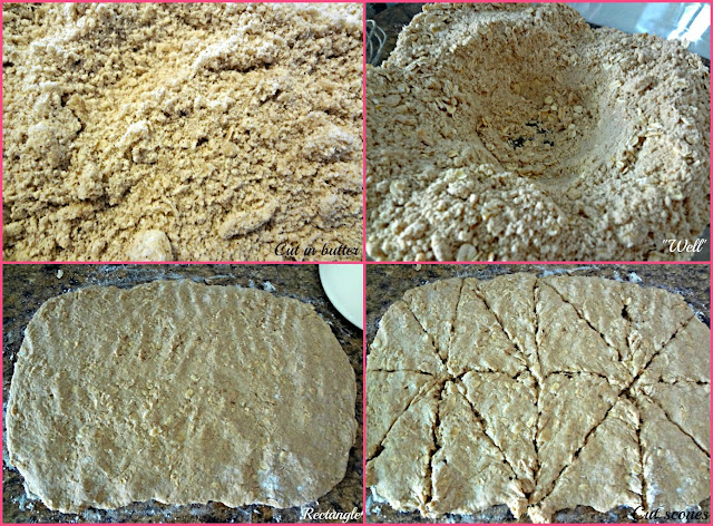 Brown Sugar Cinnamon Oat Scones Brown Sugar Cinnamon Oat Scones