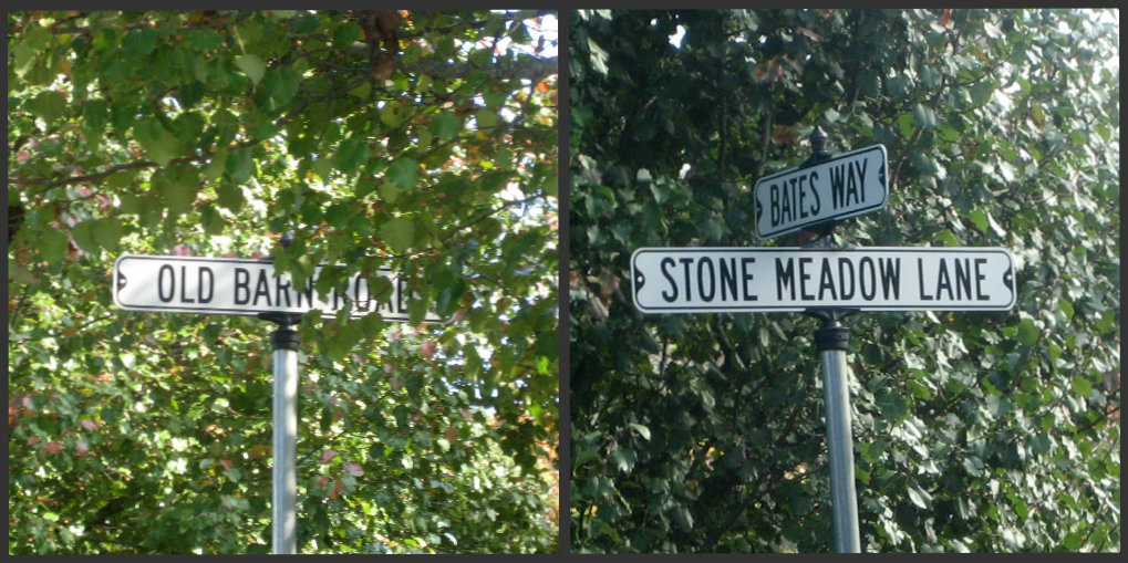 Hanover Real Estate Stone Meadow Estates Hanover MA