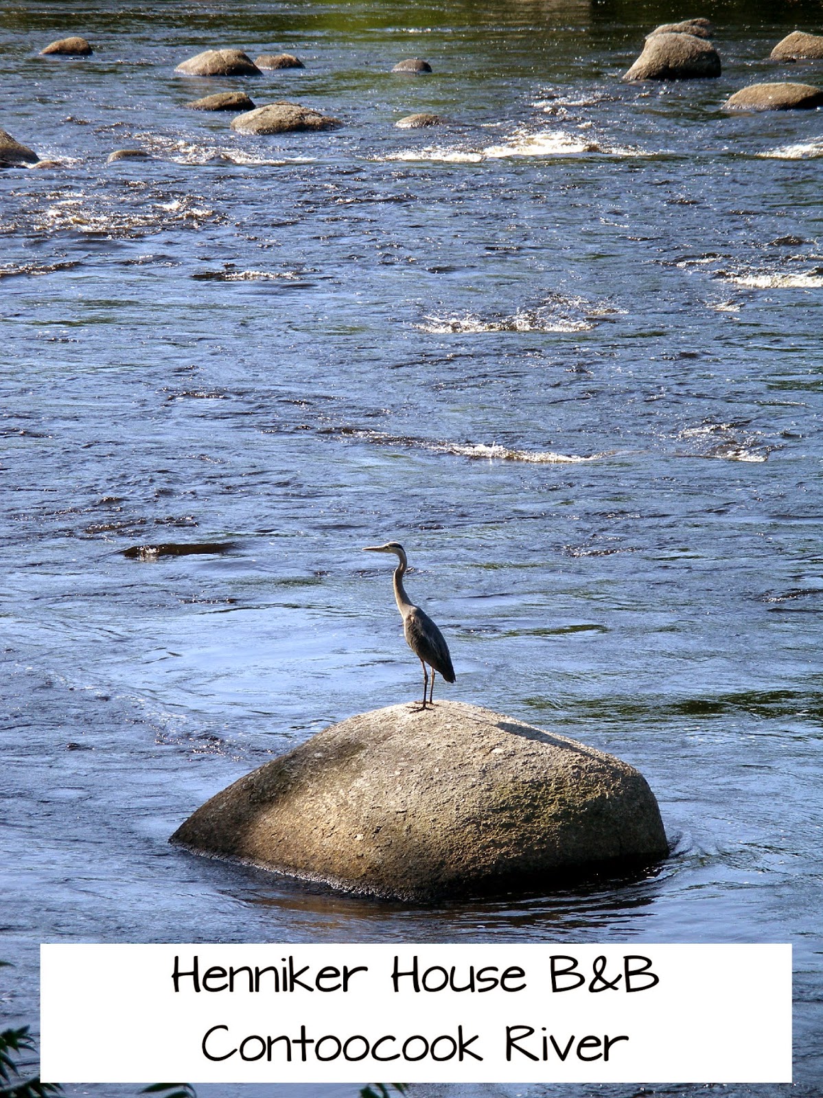 Henniker House Bed and Breakfast