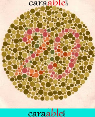 Contoh tes buta warna online tersulit lengkap ishihara