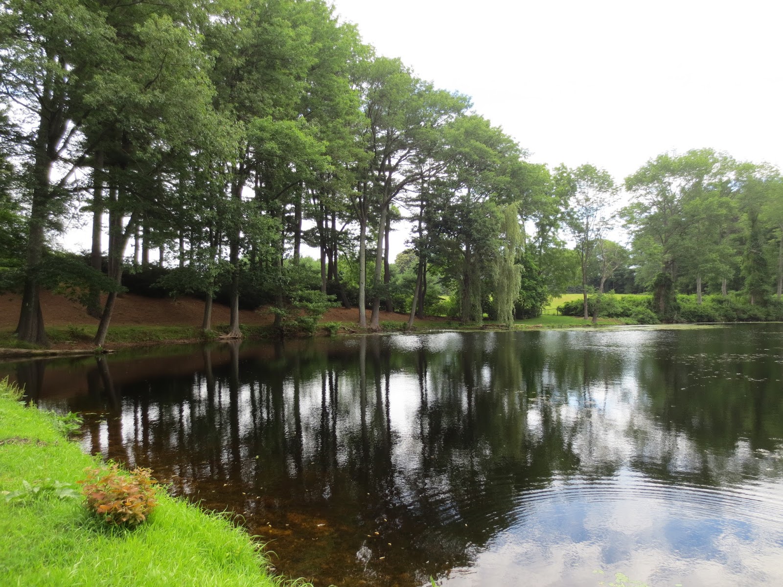 Bay Circuits Bay Circuit Trail Lincoln MA. Walden Woods to Farrar Pond.