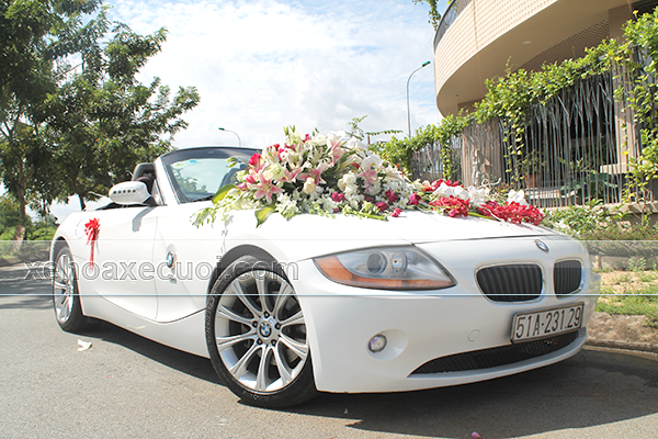 Hình xe hoa đẹp màu trắng BMW Z4