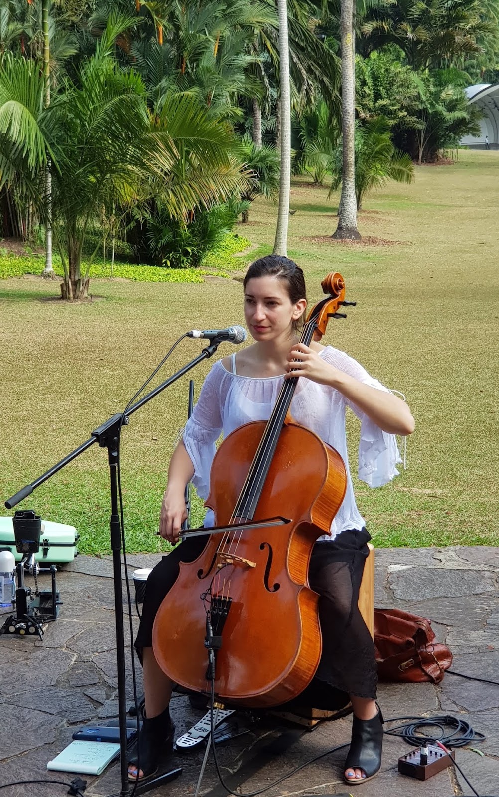 Botanic Gardens Top Things to know about FREE concert, performance