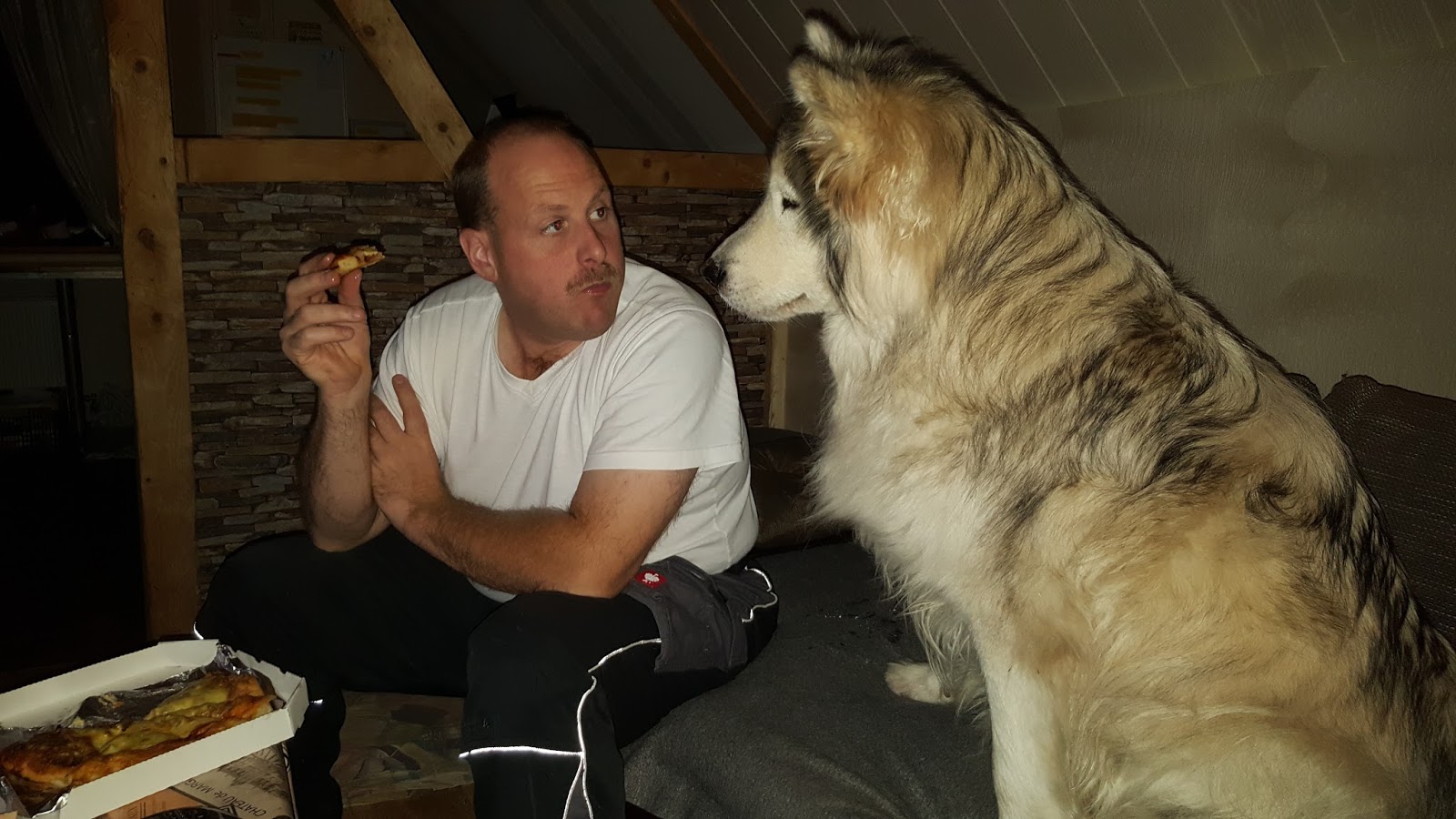 SignalHund Blog Ich sag�s Euch ehrlich! Dezember 2017