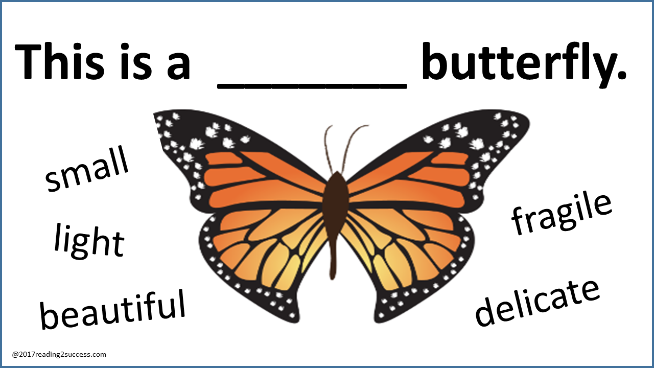 Reading2success: Adjectives to describe people, animals, places, things