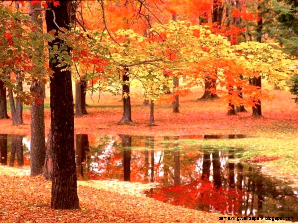 Beautiful Fall Landscape