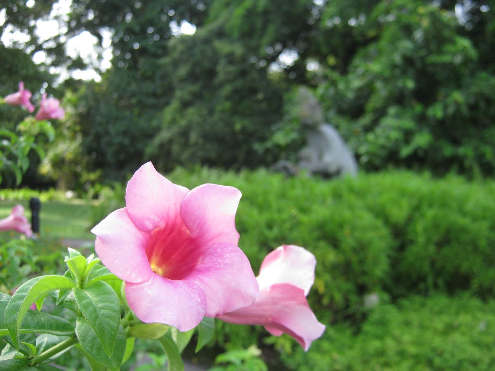 The Sampaguita and the Flowers for the Souls