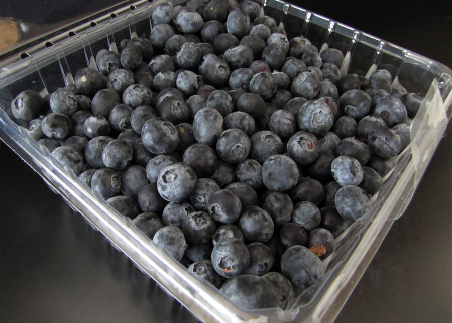 Smells Like Food in Here Naturipe Blueberries