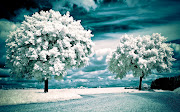 winter in summer wallpaper (winter in summer wallpaper)