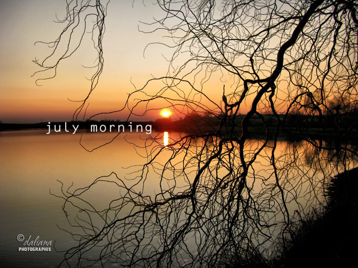 Photographis July Morning