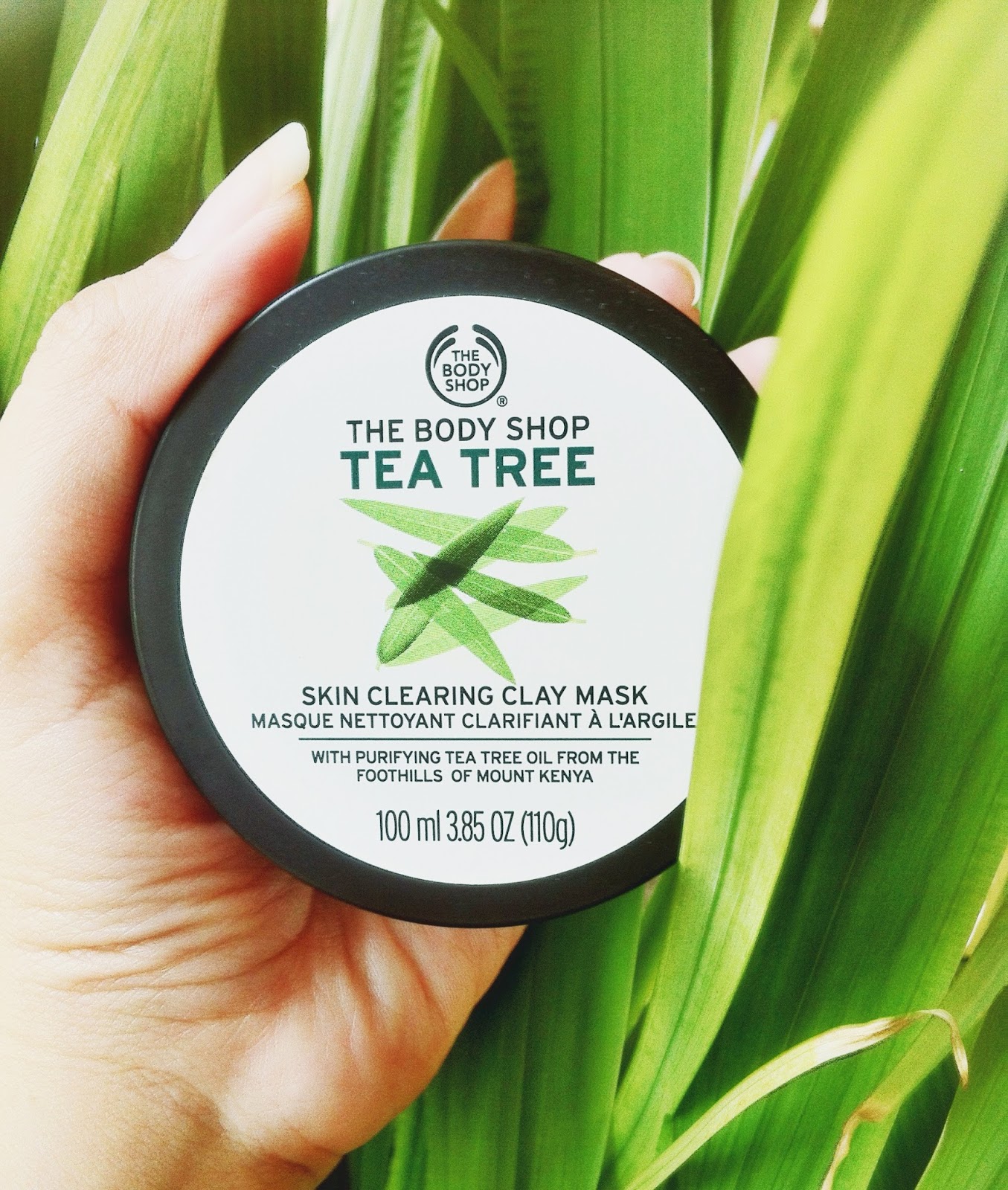 [REVIEW] THE BODY SHOP TEA TREE SKIN CLEARING CLAY MASK