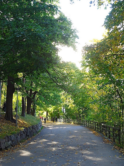 DSC03080.JPG