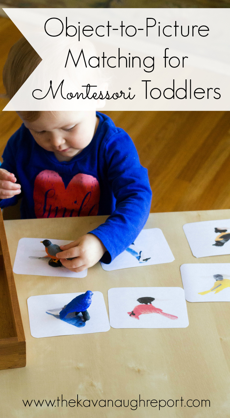 ObjecttoPicture Matching for Montessori Toddlers