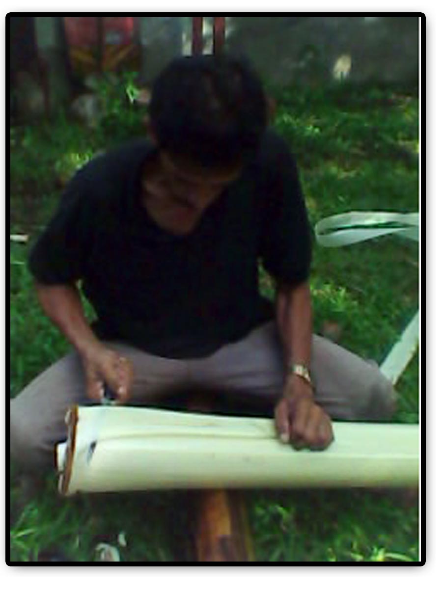 Abaca fiber thesis 05 image