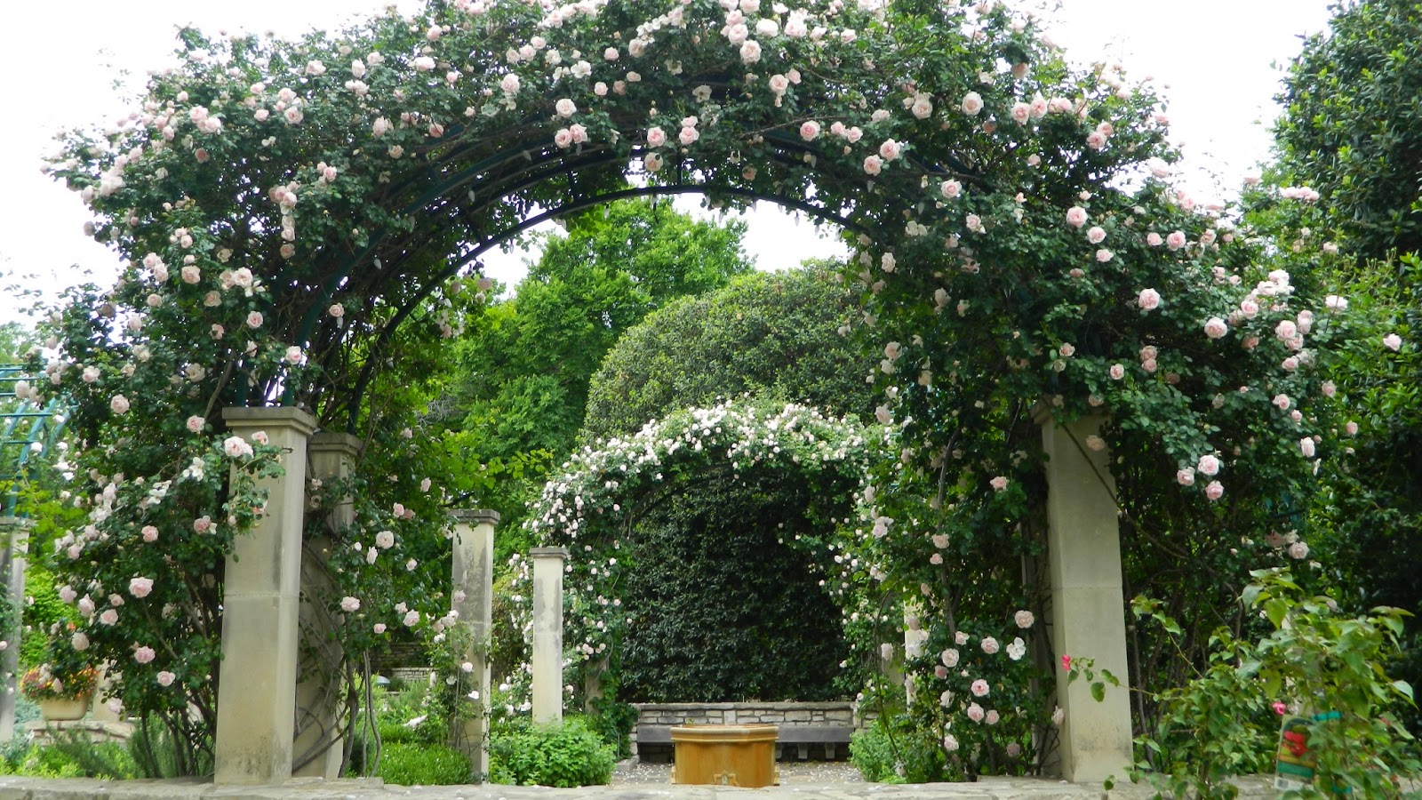 GardenEnvy: This Texas Botanical Garden Is So Worth A Visit