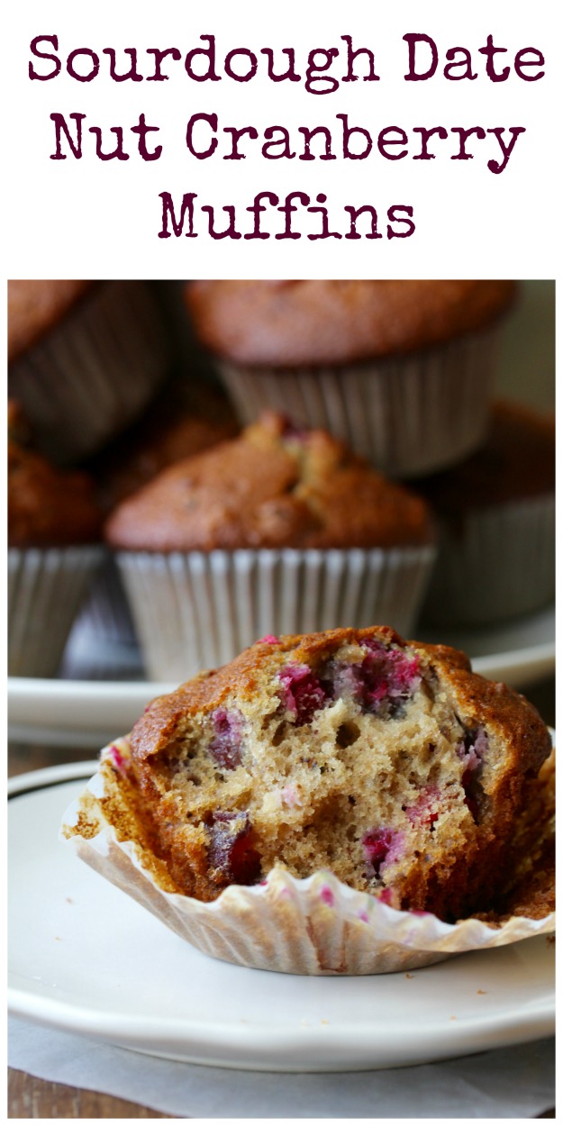 These Sourdough Date Nut Cranberry Muffins combine the tang of sourdough with the sweetness of dates. Then there are the tart cranberries adding an additional flavor dimension. So good.