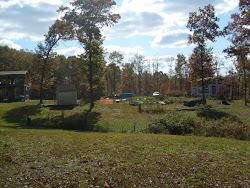 coop homesteading tennessee