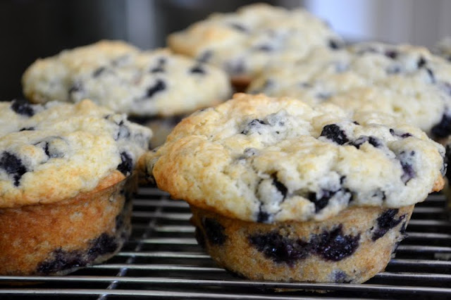wild blueberry muffins