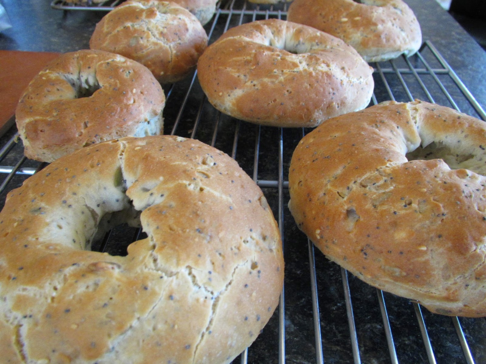 Successfully Gluten Free! Flavorful Hearty Bagels