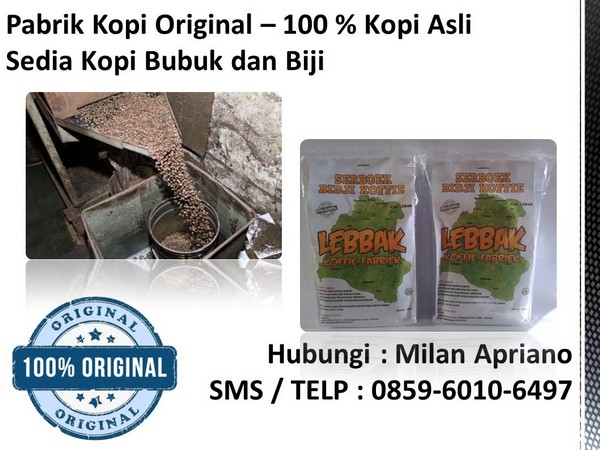 kualitas biji kopi yang baik kualitas biji kopi yang baik