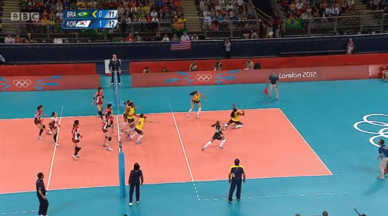Olympicsvolleyball.gif