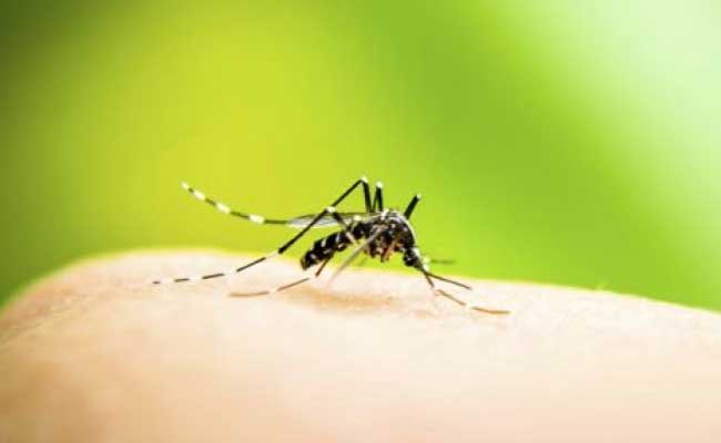 FIGHT AGAINST DENGUE: Naveen action in 'sting' operation