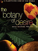 La botanica del deseo: marihuana y patata