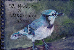 jay watercolor birds acrylic weeks doodles imitates