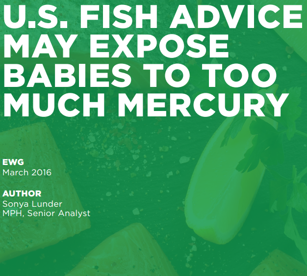Living Simply Pregnant Pause High Levels of MERCURY in Fish via EWG
