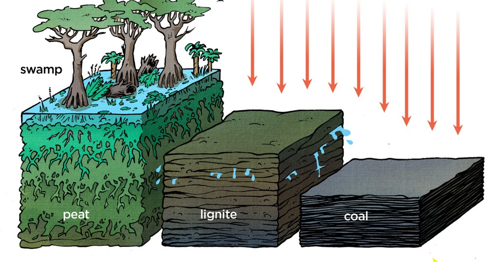 Pembentukan, Jenis, Analisa Kualitas Batubara - KajianPustaka